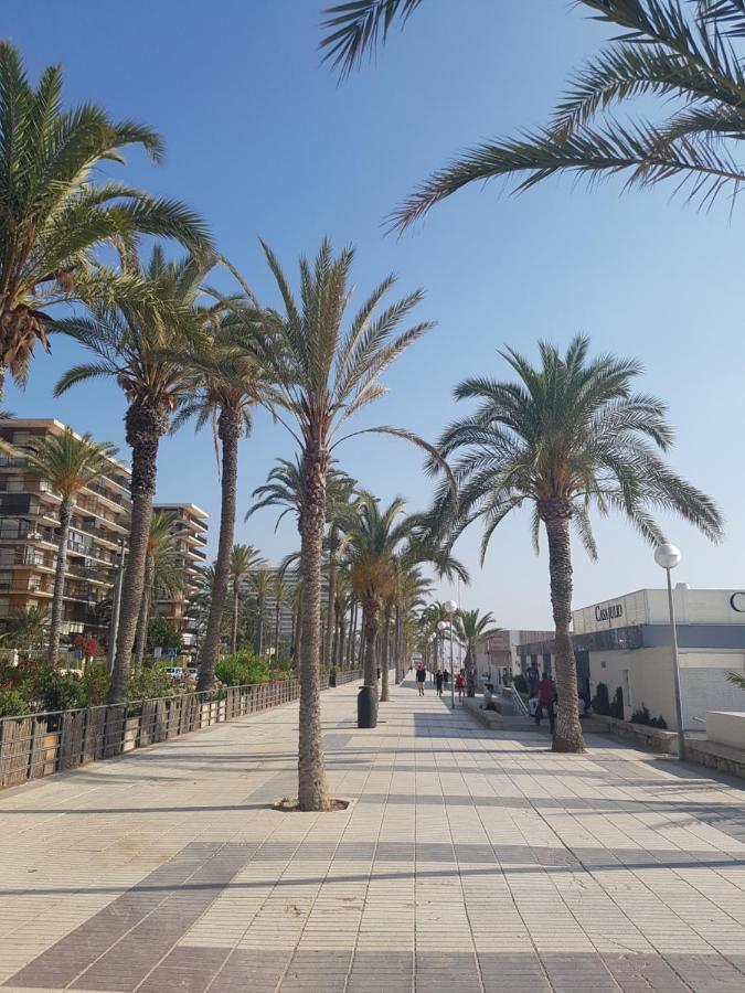 Exclusif Appartement En 1Er Ligne, Vue Imprenable, Piscine, Parking Prive A Playa Mucha Vista, Alicante El Campello Buitenkant foto